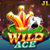 Wild Ace old fox game